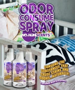 No-NonScents RTU Odor-Consume Spot & Pre-Treat - Quart
