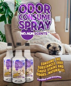 No-NonScents RTU Odor-Consume Spot & Pre-Treat - Quart