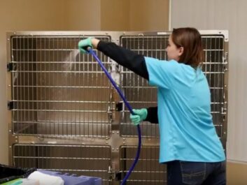 cleaning veterinary kennels