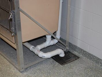 treating drains in dog kennels