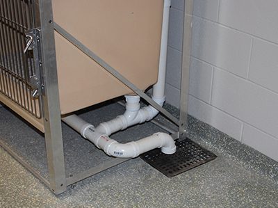 treating drains in dog kennels