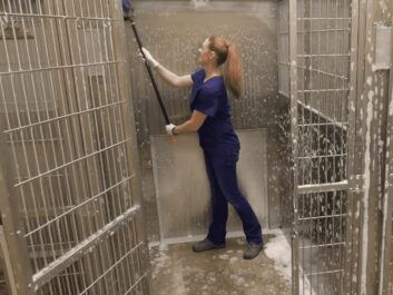 cleaning dog kennels